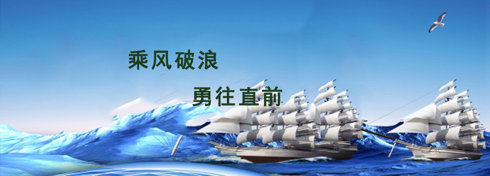 我局認(rèn)真開(kāi)展兩學(xué)一做黨員教育工作交流會(huì)